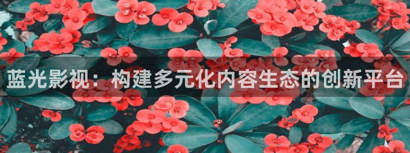 斑马影视app官网下载：蓝光影视：构建多元化内容生态的创新平台
