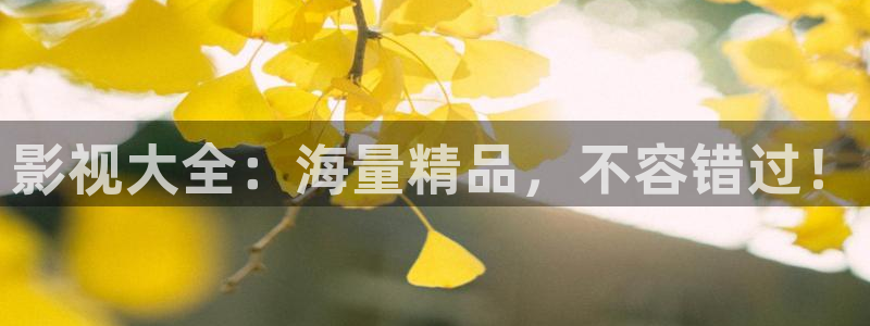 斑马省钱
