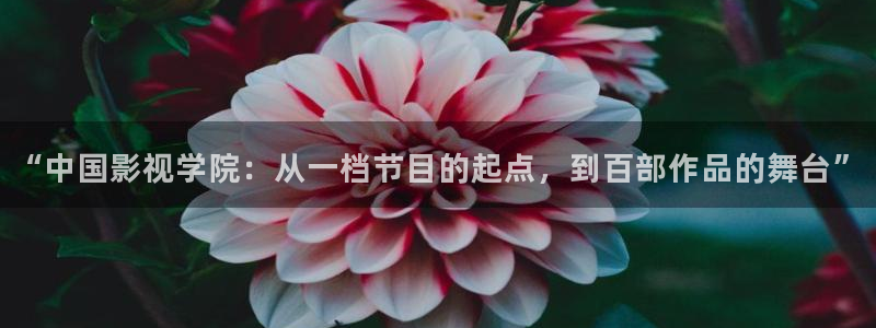 香港斑马电影街