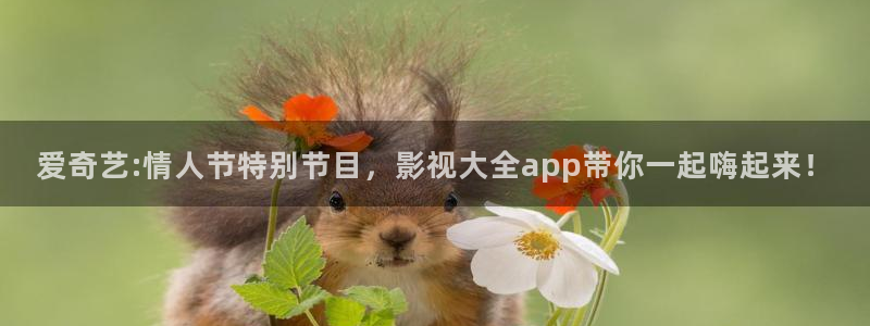 斑马视频网站：爱奇艺:情人节特别节目，影视大全app带你一起嗨起来！