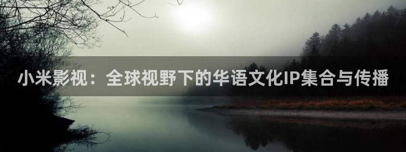 斑马116：小米影视：全球视野下的华语文化IP集合与传播