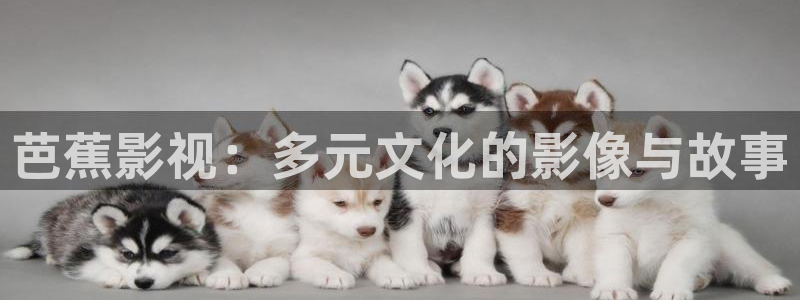 斑马电影院在线：芭蕉影视：多元文化的影像与故事