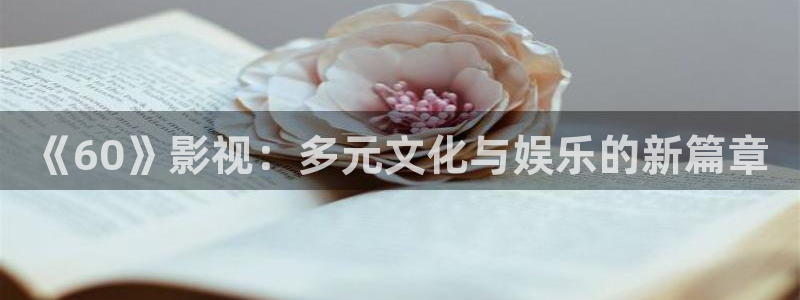 韩国斑马电影