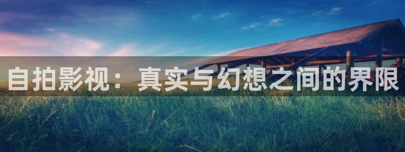 斑马tlp2844：自拍影视：真实与幻想之间的界限