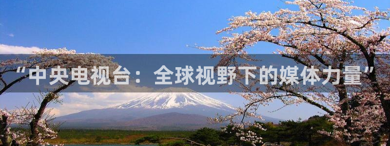 斑马hd：“中央电视台：全球视野下的媒体力量”