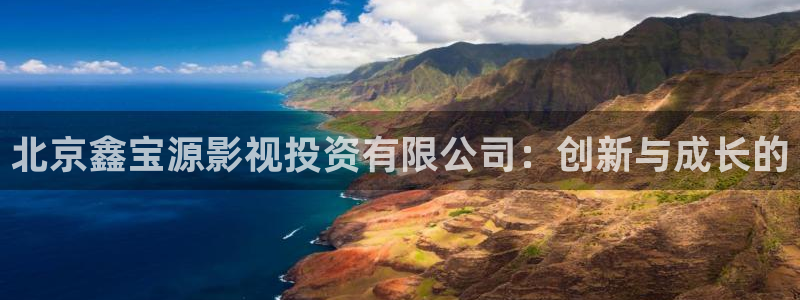 斑马牌jj15：北京鑫宝源影视投资有限公司：创新与成长的