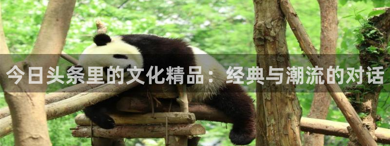 在线观看电影 斑马：今日头条里的文化精品：经典与潮流的对话