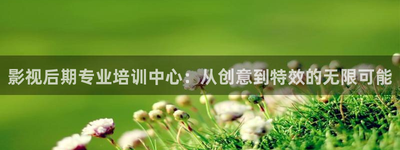斑马ai4.7