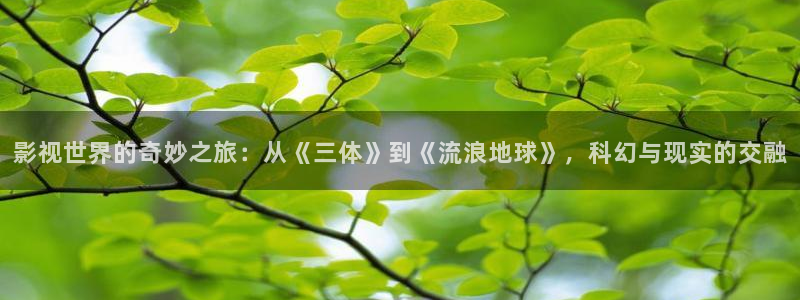 快乐斑马