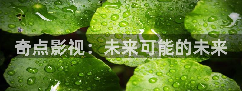 斑马105se